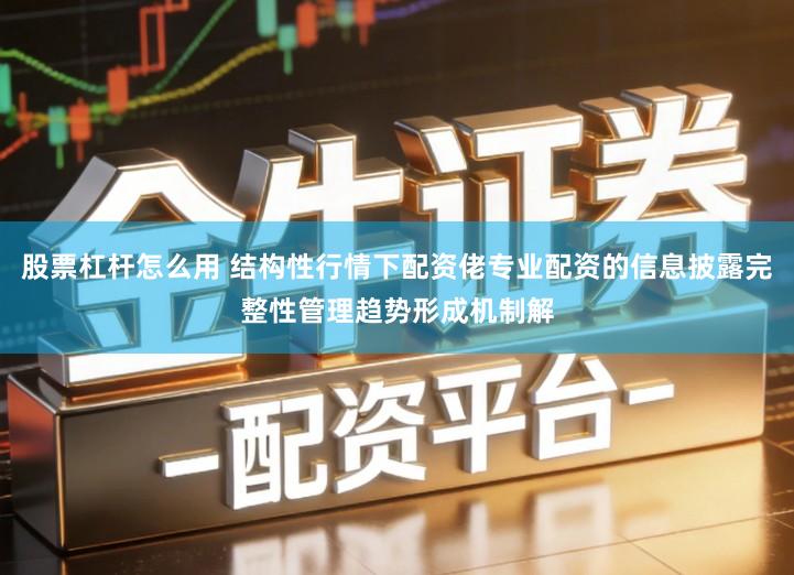 股票杠杆怎么用 结构性行情下配资佬专业配资的信息披露完整性管理趋势形成机制解